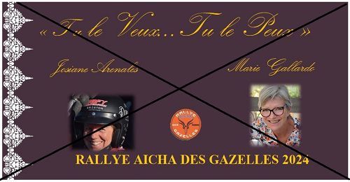 4ème RALLYE DES GAZELLES